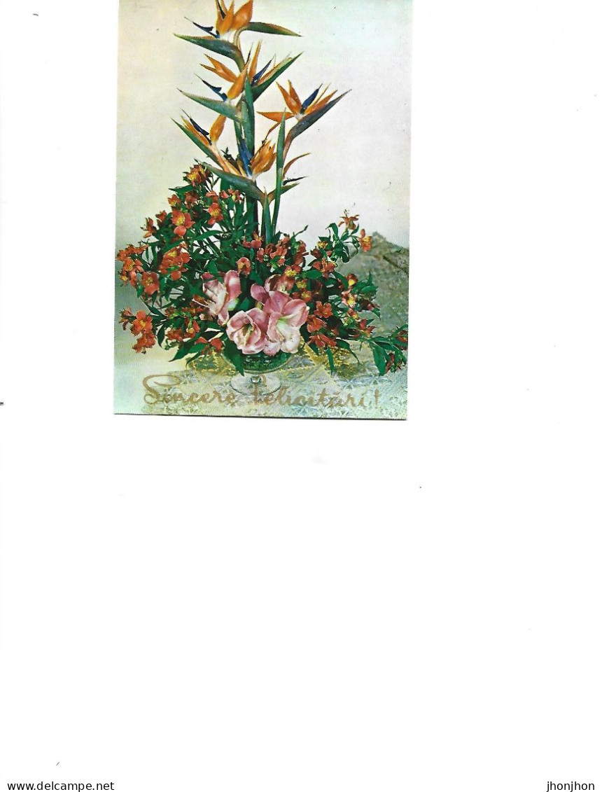 Romania  -  Postcard Unused   -  Flowers -    Lilies And Irises - Plantes Médicinales
