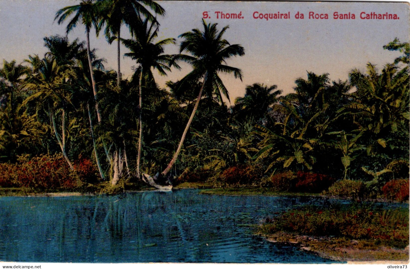 S.  SÃO TOMÉ - Coquairal Da Roça Santa Catharina - Sao Tome And Principe