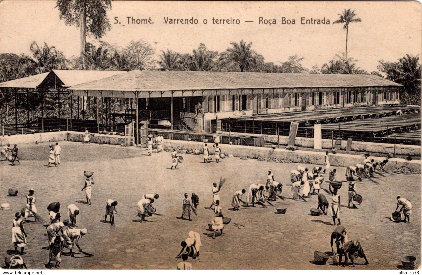 S.  SÃO TOMÉ - Varrendo O Terreiro - Roça Boa Entrada - Sao Tome And Principe