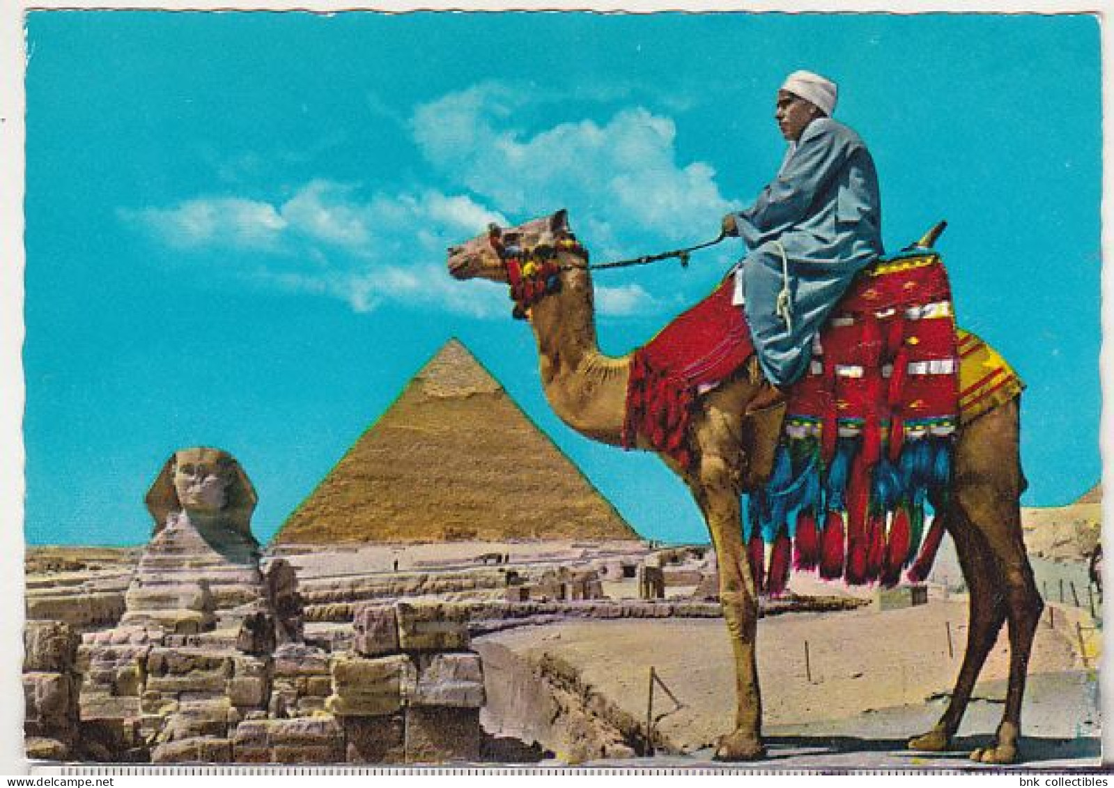 Camel Driver In Egypt , Near Great Sphynx - Old Used Postcard - Afrique