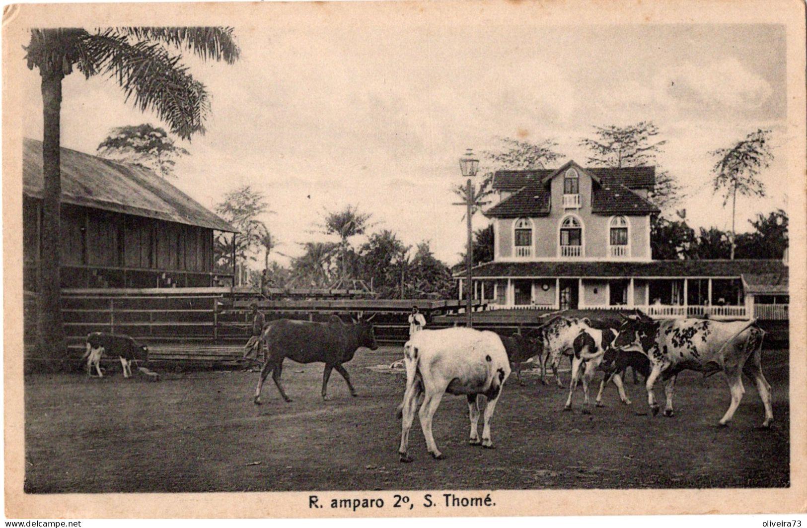 S.  SÃO TOMÉ - Roça Amparo 2º - Sao Tome En Principe