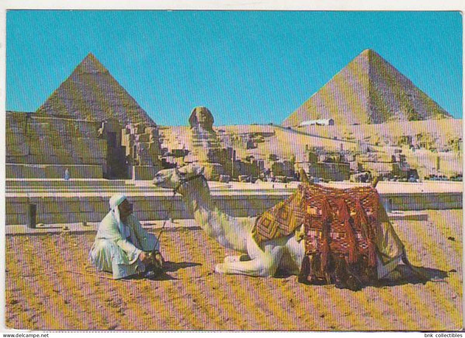 Camel Driver Near Great Sphynx And The Pyramids - Egypt Old Uncirculated Postcard - Afrique