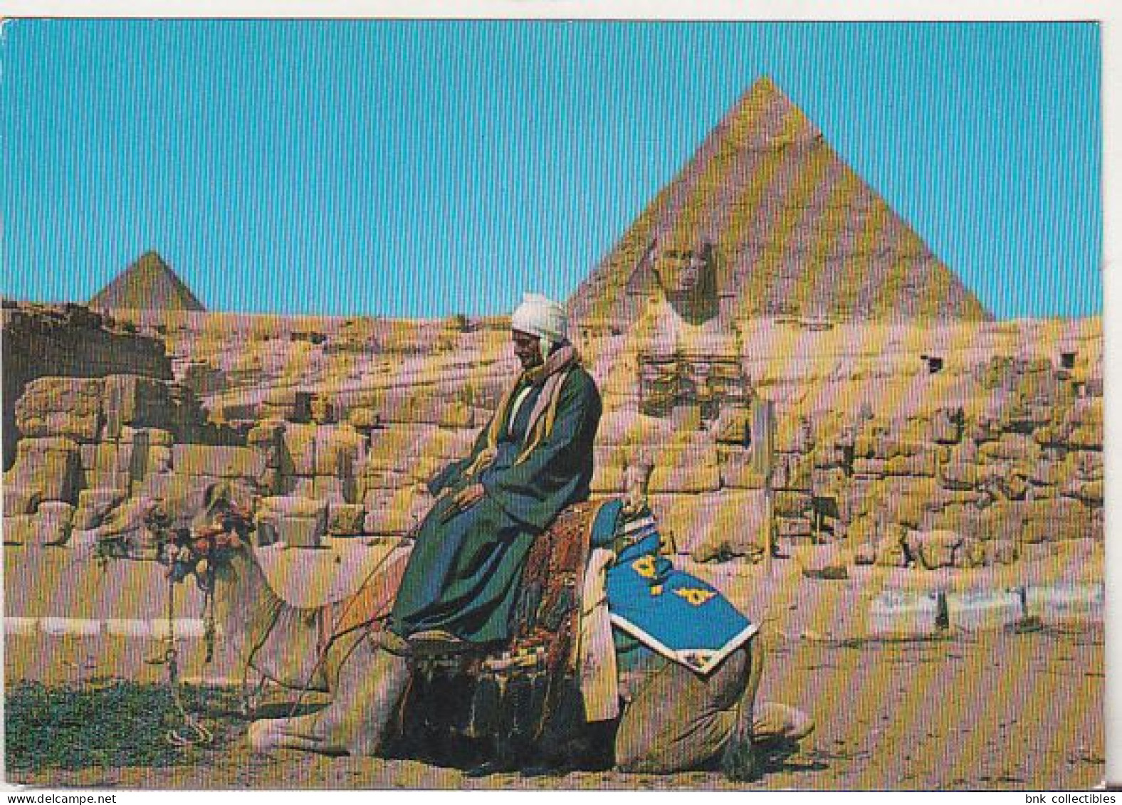 Camel Driver Near Great Sphynx And The Pyramids - Egypt 1978 Used Postcard - Afrique