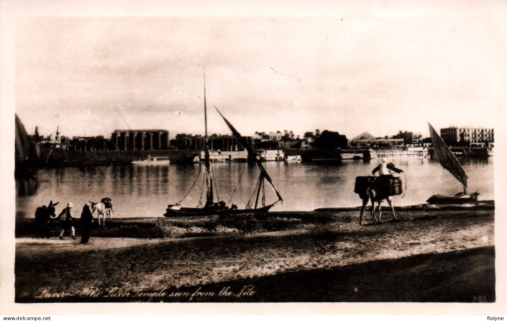 Louxor - The Luxor Temple Seen From The Nile - égypte Egypt - Louxor