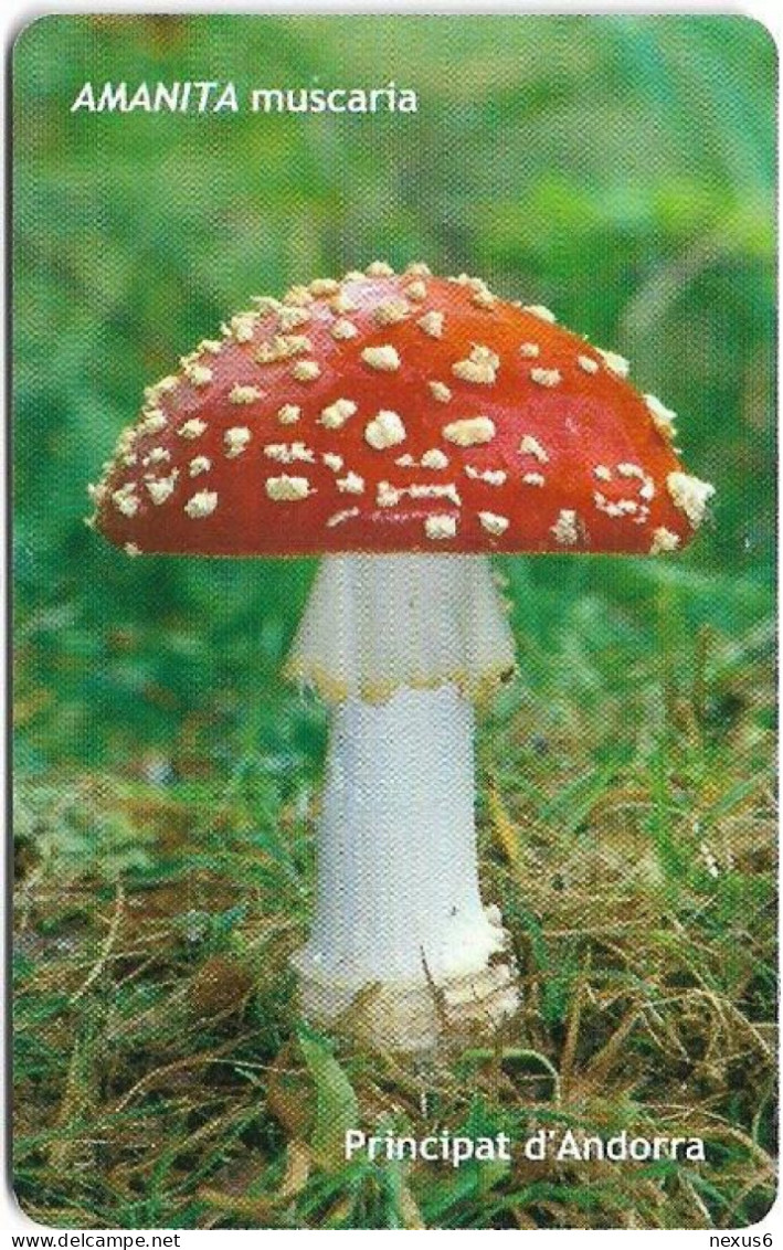 Andorra - STA - STA-0147 - Mushroom, Amanita Muscaria, GD04, 02.2005, 6€, 20.000ex, Used - Andorre