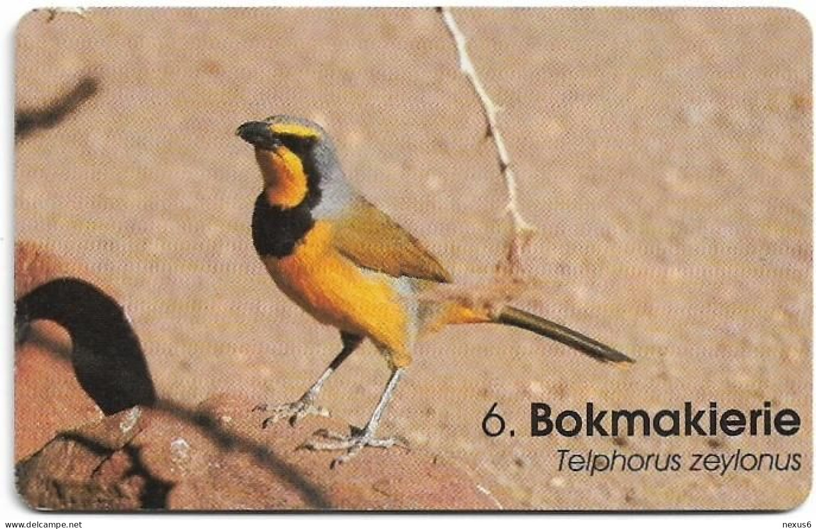 Namibia - Telecom Namibia - Birds Of Namibia, Bokmakierie, Solaic, 1999, 20$, Used - Namibië