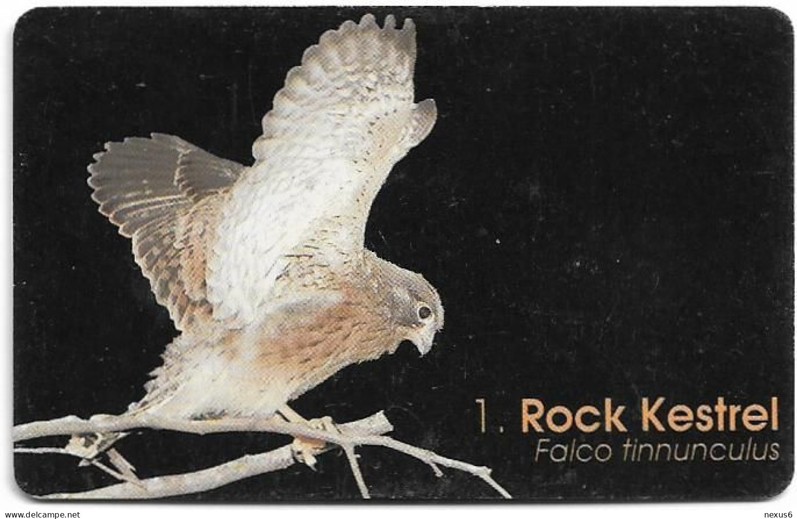 Namibia - Telecom Namibia - Birds Of Namibia, Rock Kestrel - 20$, 1999, Used - Namibië