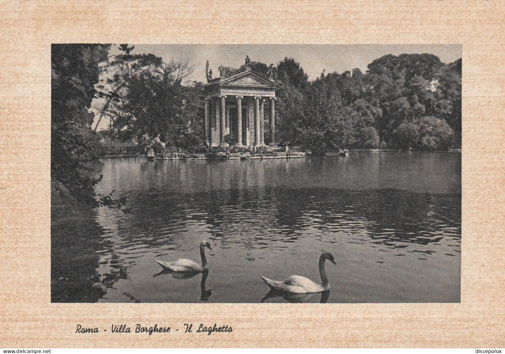 Z5976 Roma - Villa Borghese - Il Laghetto - Cigno Cygne Zwaan Swan / Viaggiata 1957 - Parken & Tuinen