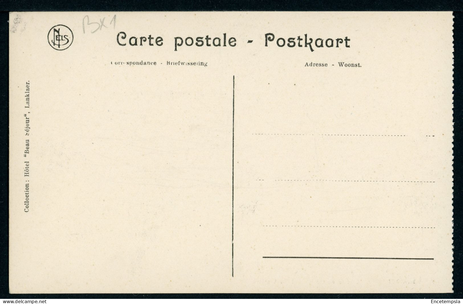 CPA - Carte Postale - Belgique - Lanklaer - L'Hêtre Noir Renommé Du Vierveld (CP23052) - Dilsen-Stokkem