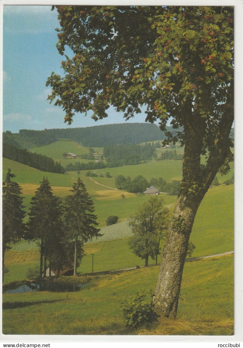 Langenordnachtal, Baden-Württemberg - Titisee-Neustadt