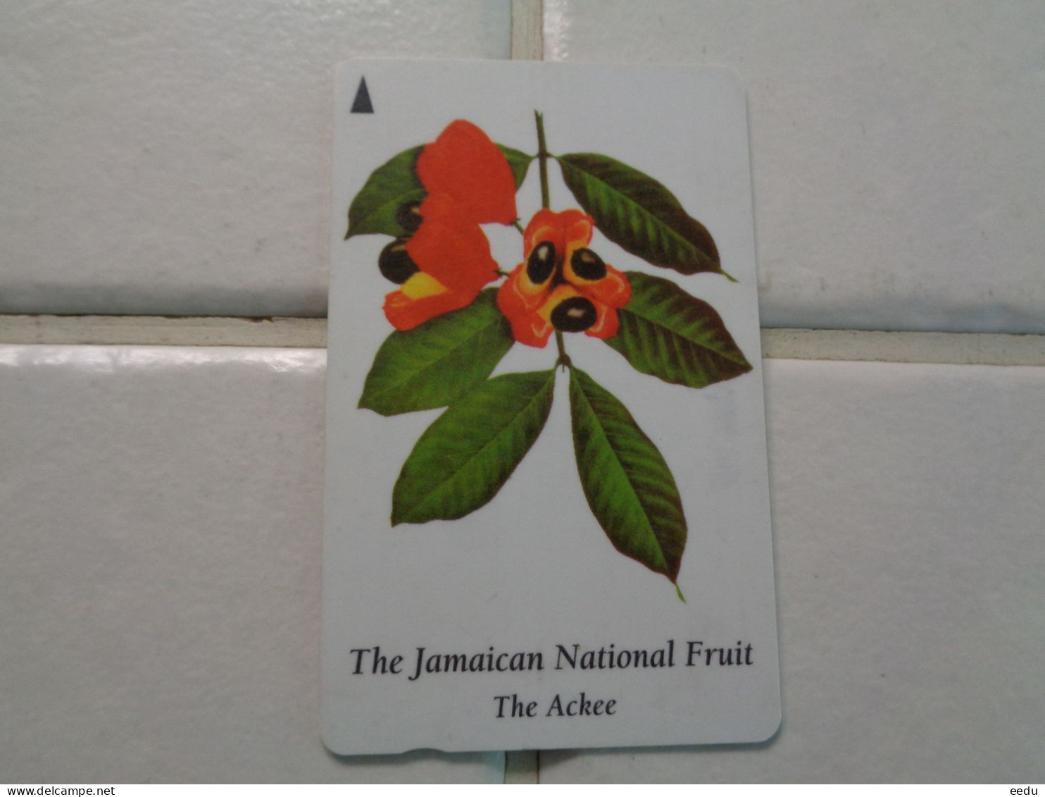 Jamaica Phonecard - Jamaica