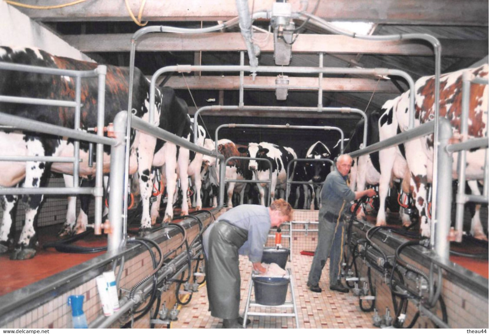 ¤¤   -   AGRICULTURE  -  Lot De 7 Clichés De La Traite De Vaches  -  Stabulation, Fermiers, Agriculteur      -   ¤¤ - Tractores