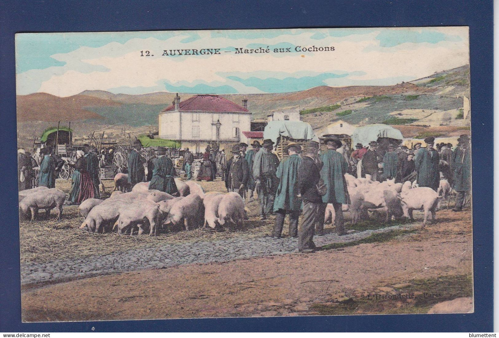 CPA Régions > Auvergne Marché Aux Cochons écrite - Auvergne