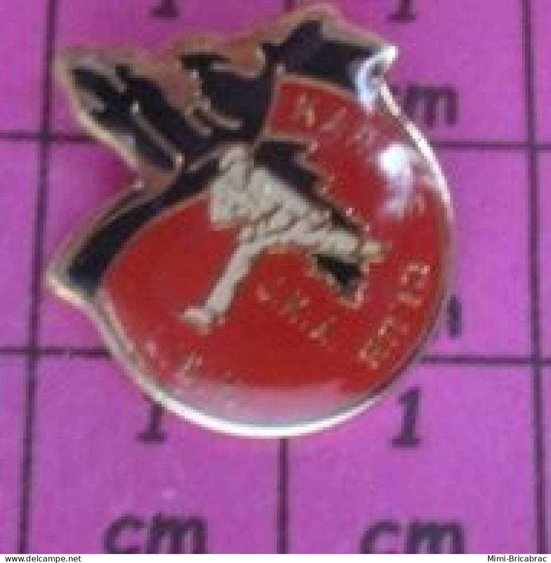 2219 Pin's Pins / Beau Et Rare / SPORTS / KARATE CLUB DE ???? - Judo