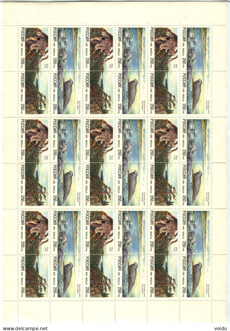 Russia 1995   MNH **  Full Sheets - Hojas Completas