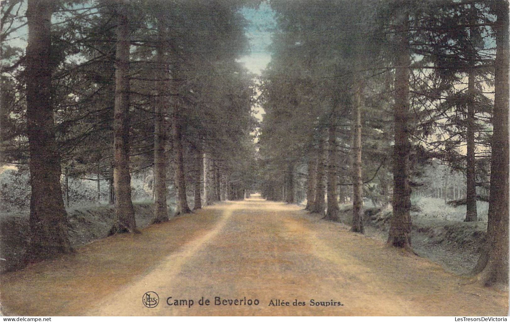 BELGIQUE - Camp De Beverloo - Allée Des Soupirs - Carte Postale Ancienne - Beringen