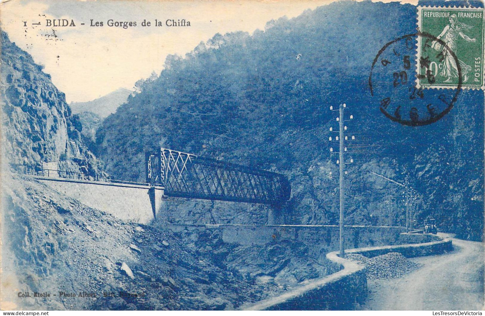 ALGERIE - Blida - Les Gorges De La Chiffa - Carte Postale Ancienne - Blida