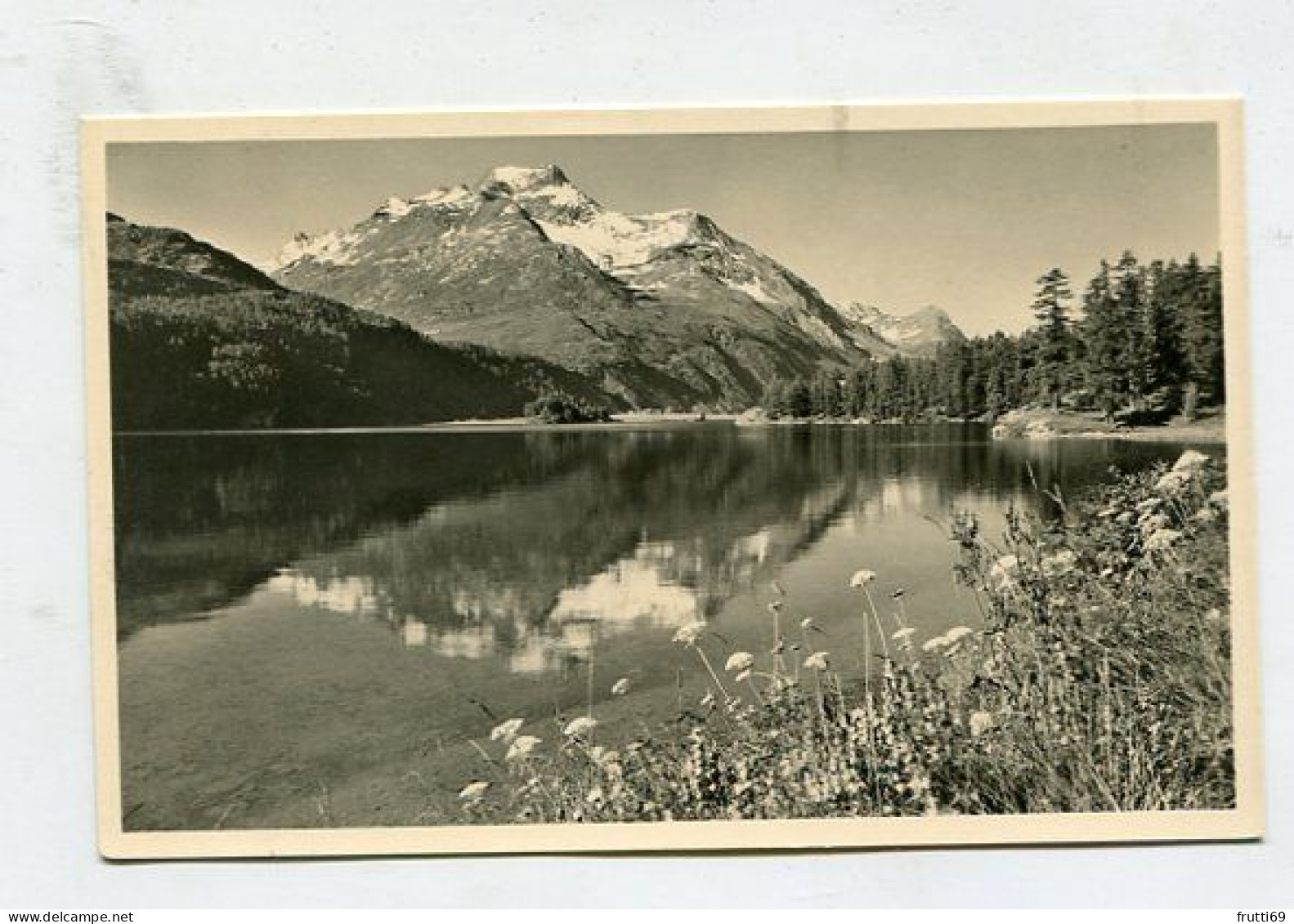 AK 139372 SWITZERLAND - Sils Im Engadin - Blick Von Chasté Auf Piz Della Margna - Sils Im Engadin/Segl