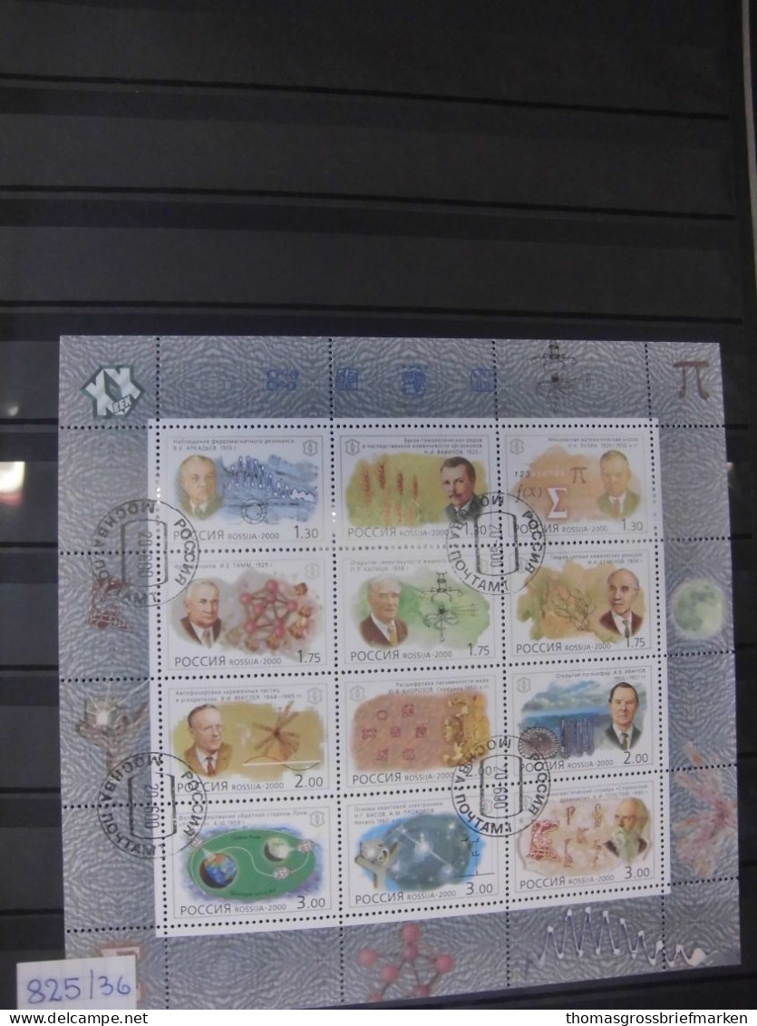 Russland Russia Jahrgang 2000 Sauber Gestempelt Komplett Incl. Blocks - Used Stamps