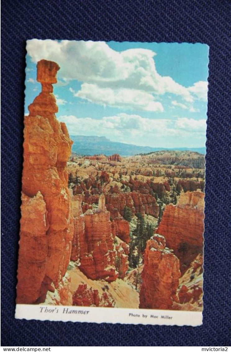 THOR'S HAMMER - Bryce Canyon National Park - Bryce Canyon