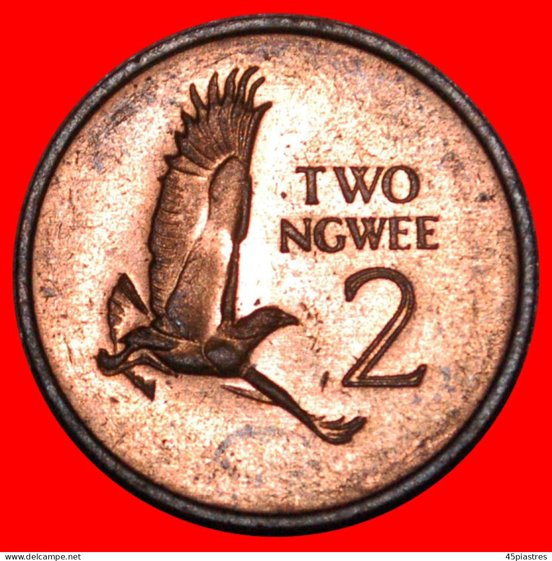 * GREAT BRITAIN (1982-1983): ZAMBIA  2 NGWEE 1983 UNC MINT LUSTRE! · LOW START! · NO RESERVE!!! - Zambia