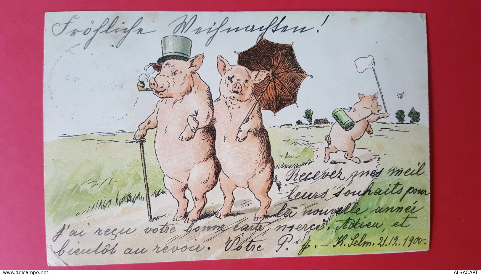 2 Cartes Animaux Humanisés , Cochons Habillés , Illustrateurs - Dressed Animals