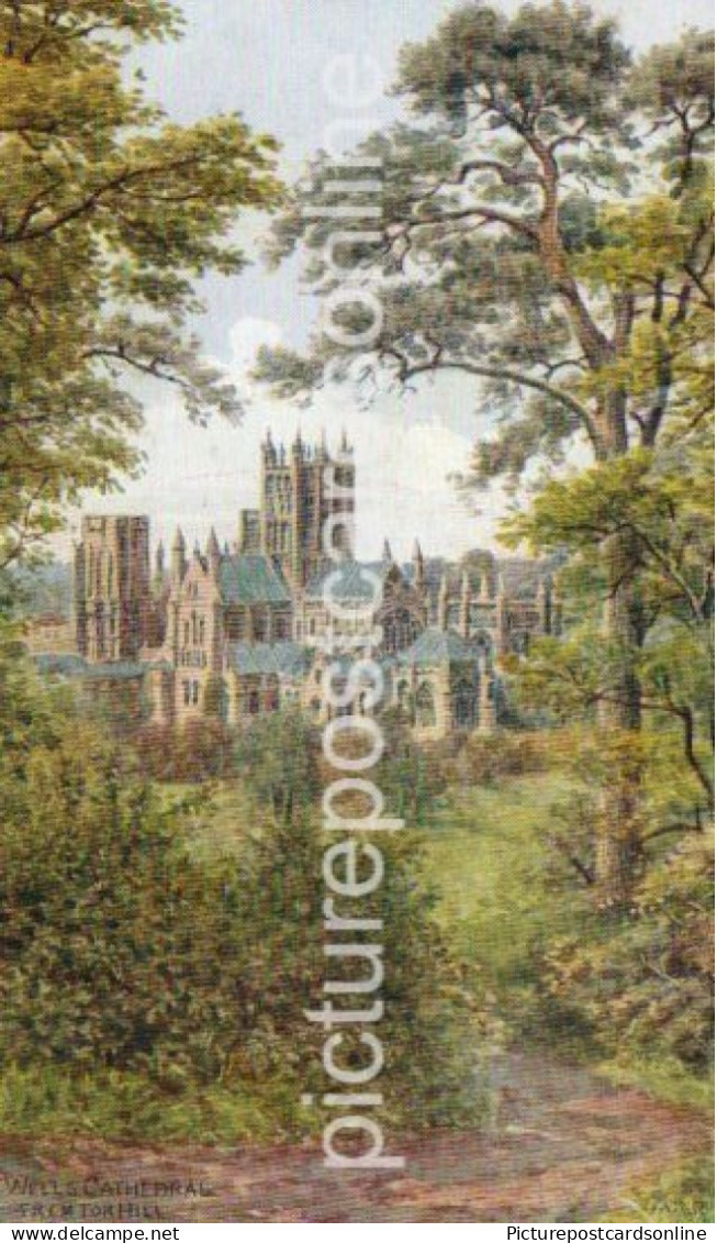 WELLS CATHEDRAL FROM TOR HILL OLD COLOUR ART POSTCARD QUINTON  SALMON NO 3058 - Quinton, AR