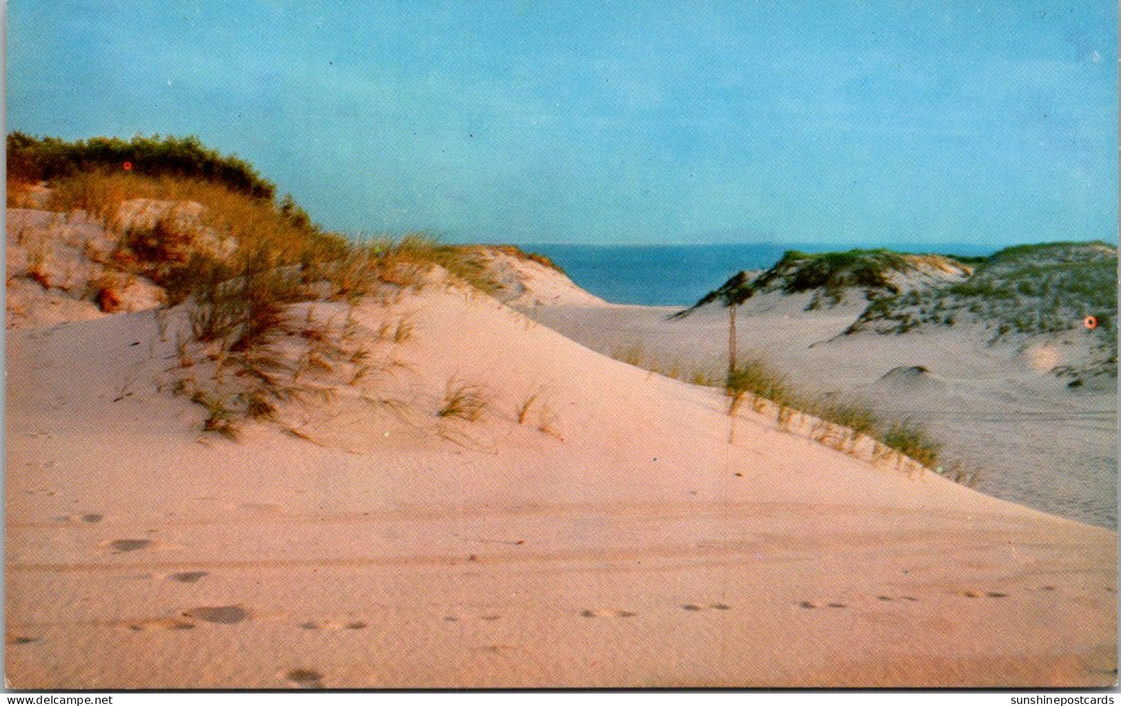 Massachusetts Cape Cod Sand Dunes - Cape Cod