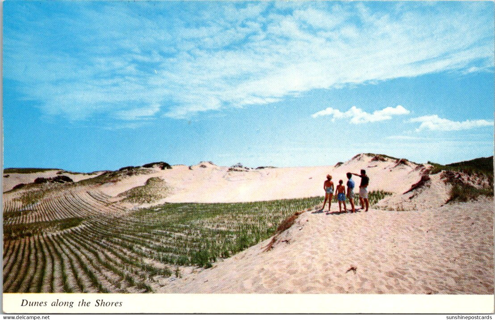 Massachusetts Cap0e Cod Sand Dunes - Cape Cod