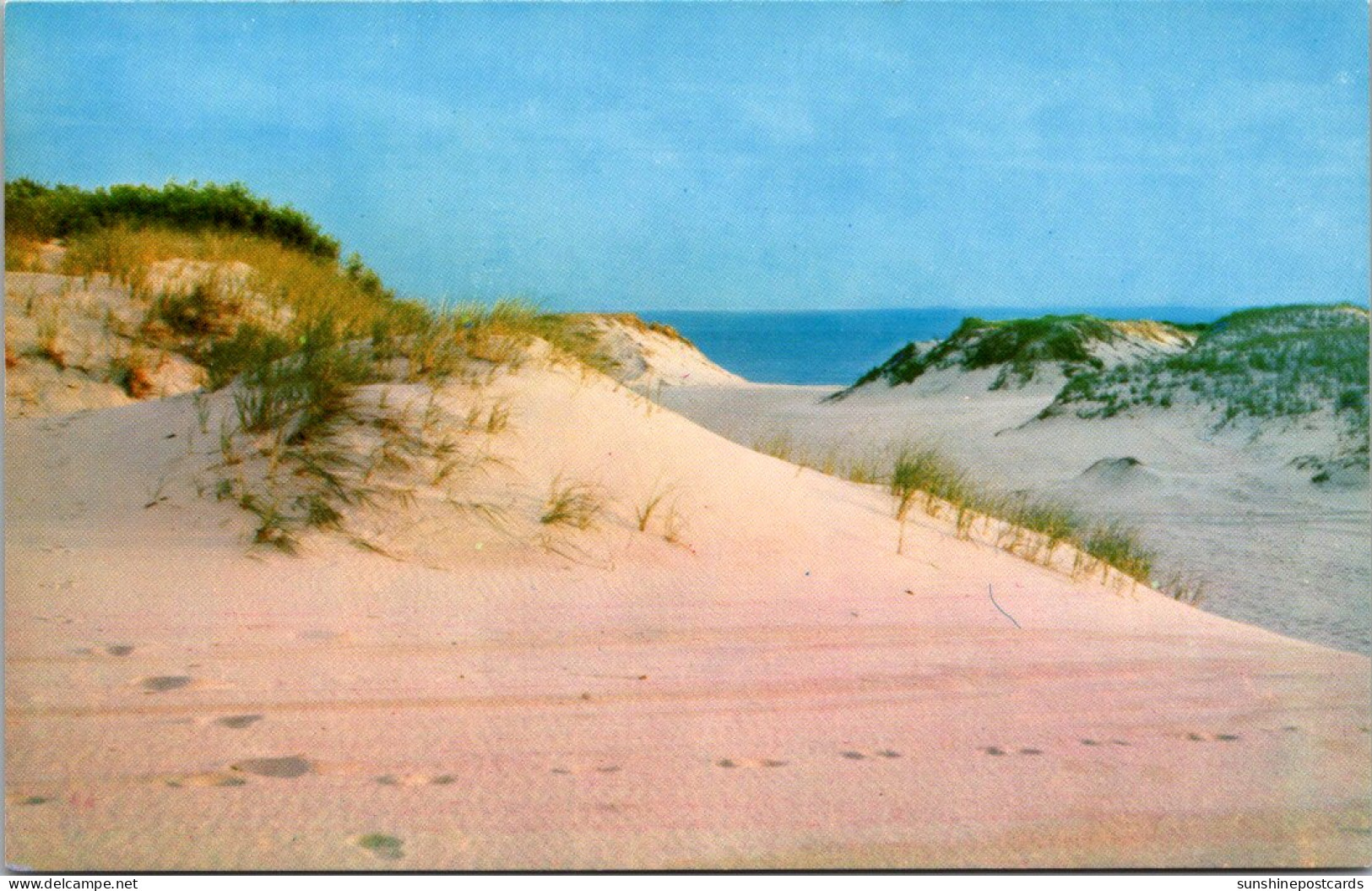 Massachusetts Cap0e Cod Sand Dunes - Cape Cod