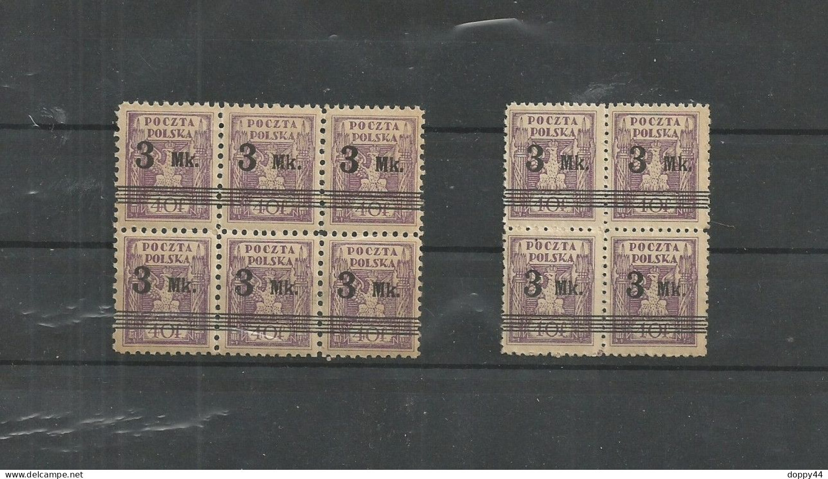 POLOGNE N°230  BLOC DE 6 + BLOC DE 4  NEUFS SUPERBES. - Unused Stamps