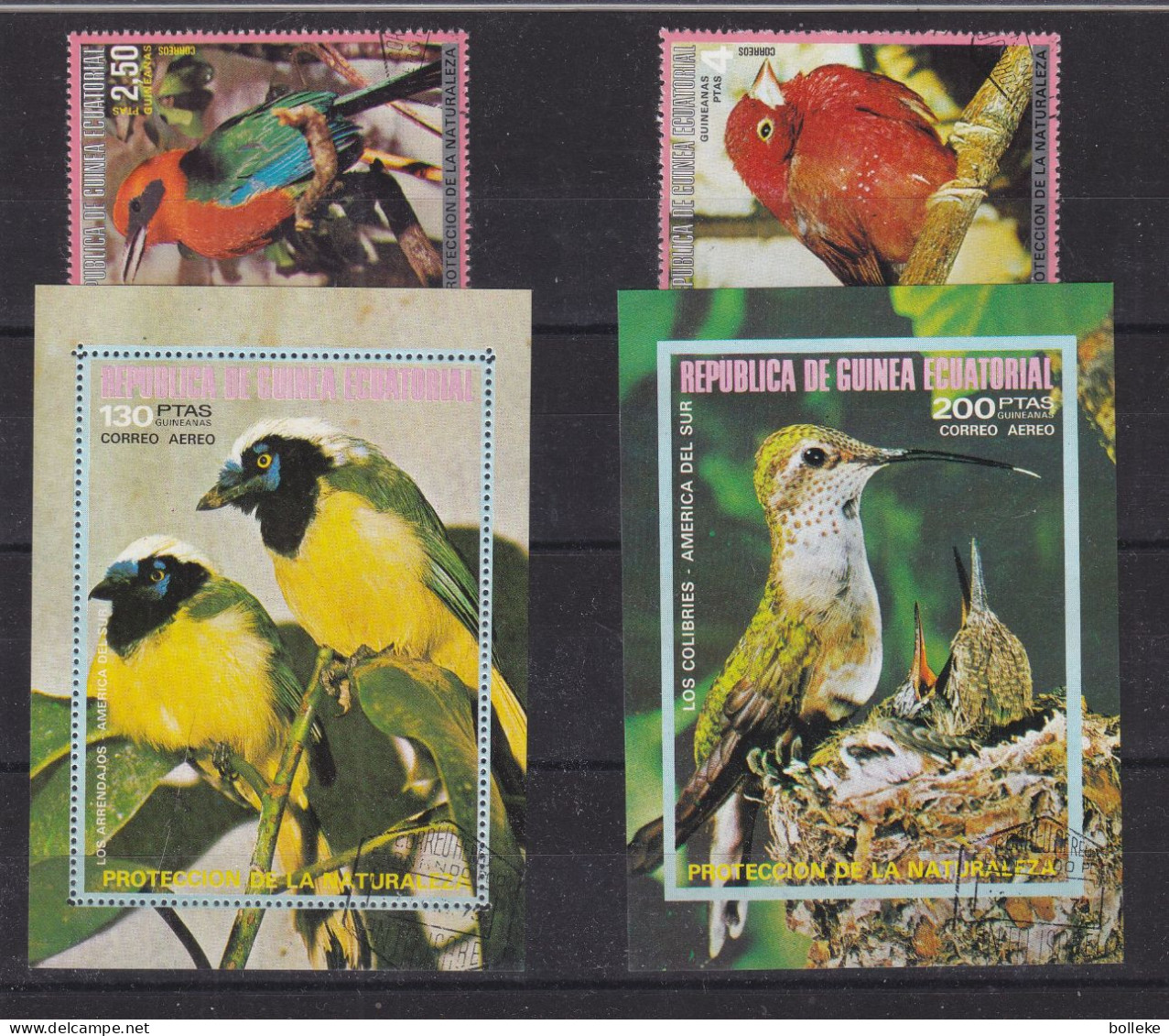 Oiseaux - Colibris - Guinée Equatoriale - 2 Timbres + 2 Blocs Oblitérés - - Colibris