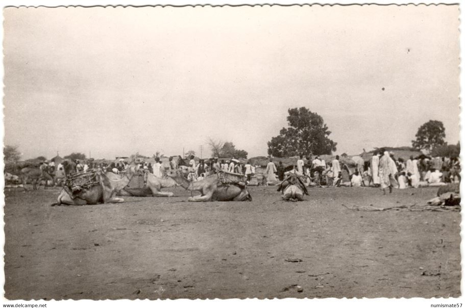 CPSM NIGER - NIAMEY - Le Grand Marché - Ed. J.-L. Fontanon N°106 - Niger