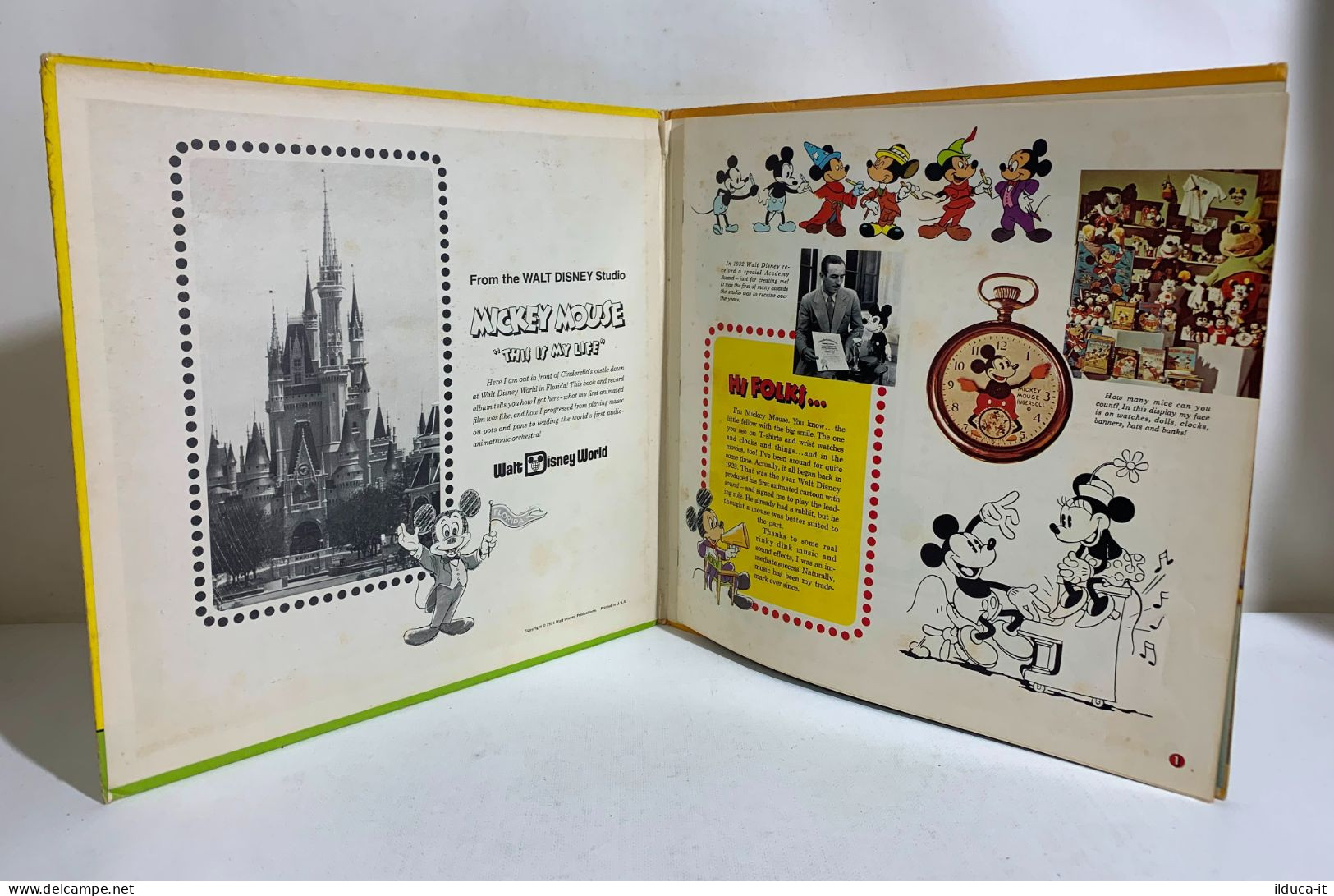 I115670 LP 33 Giri Gatefold - Mickey Mouse - This Is Mt Life - Disneyland 1971 - Kinderlieder