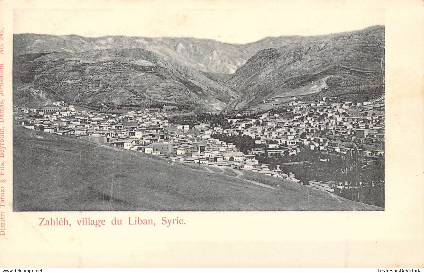 LIBAN - Zahléh - Village Du Liban - Carte Postale Ancienne - Syrië