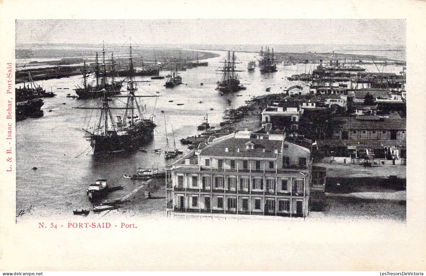 EGYPTE - Port-Said - Port - Carte Postale Ancienne - Port-Saïd