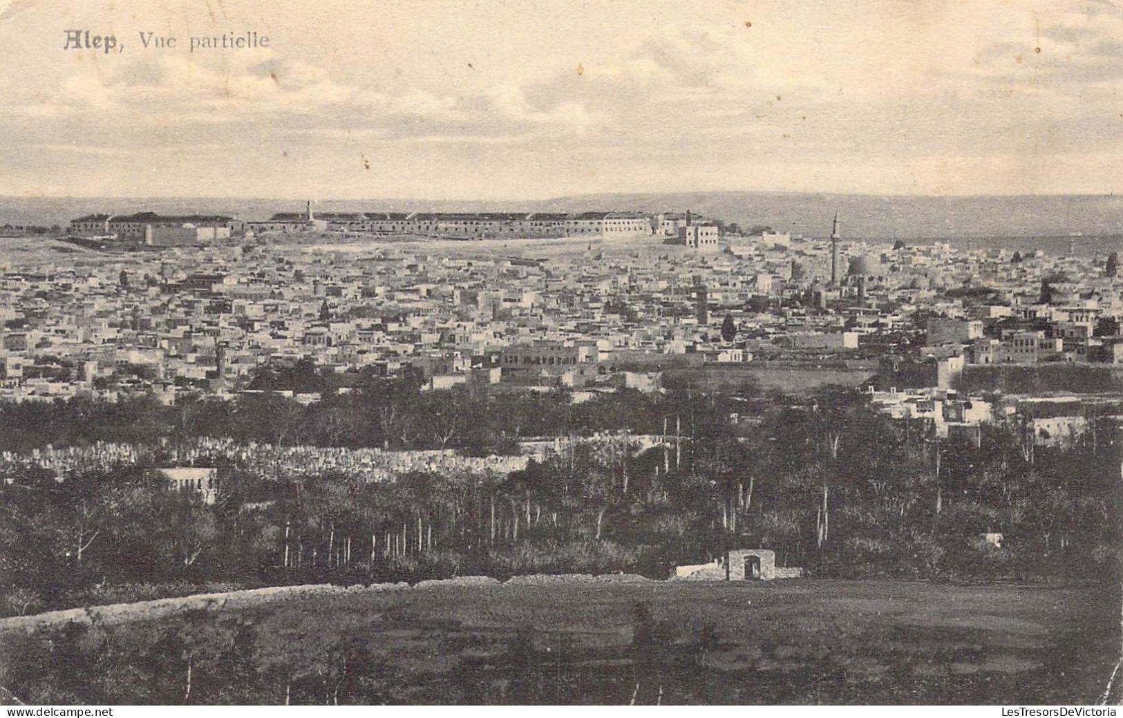 SYRIE - Alep - Vue Partielle - Carte Postale Ancienne - Syrie