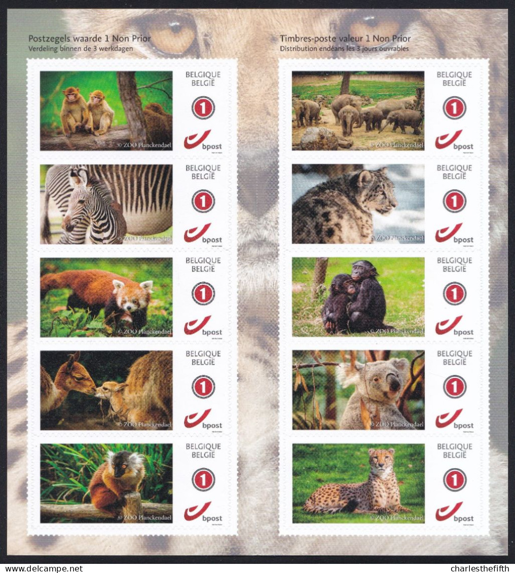 Belgium 2022 - Dieren  PLANKENDAEL ZOO  / Animals - ( DUOSTAMP ** MYSTAMP ** ) - Livret 10 TIMBRES ** Autocollants - Ungebraucht