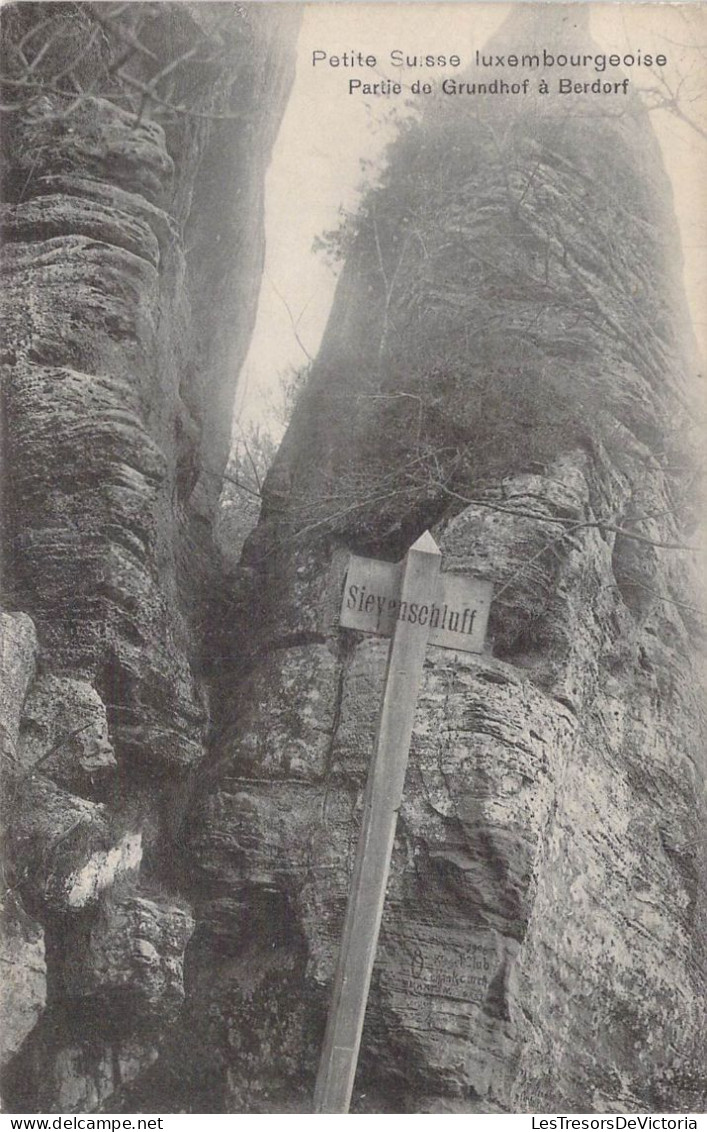 LUXEMBOURG - Petite Suisse Luxembourgeoise - Partie De Grundhof à Berdorf - Carte Postale Ancienne - Berdorf