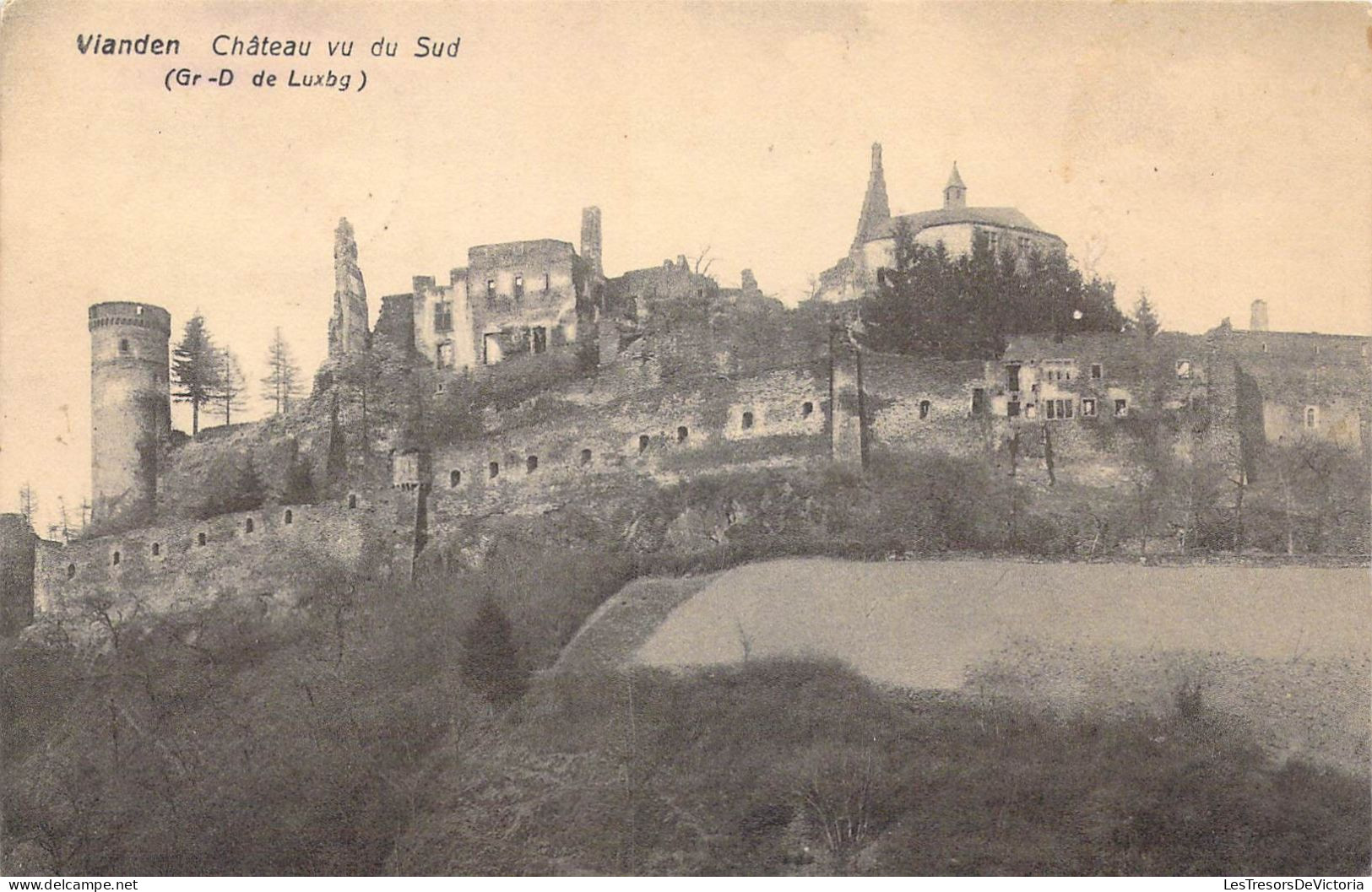LUXEMBOURG - Vianden - Château Vu Du Sud - Carte Postale Ancienne - Vianden