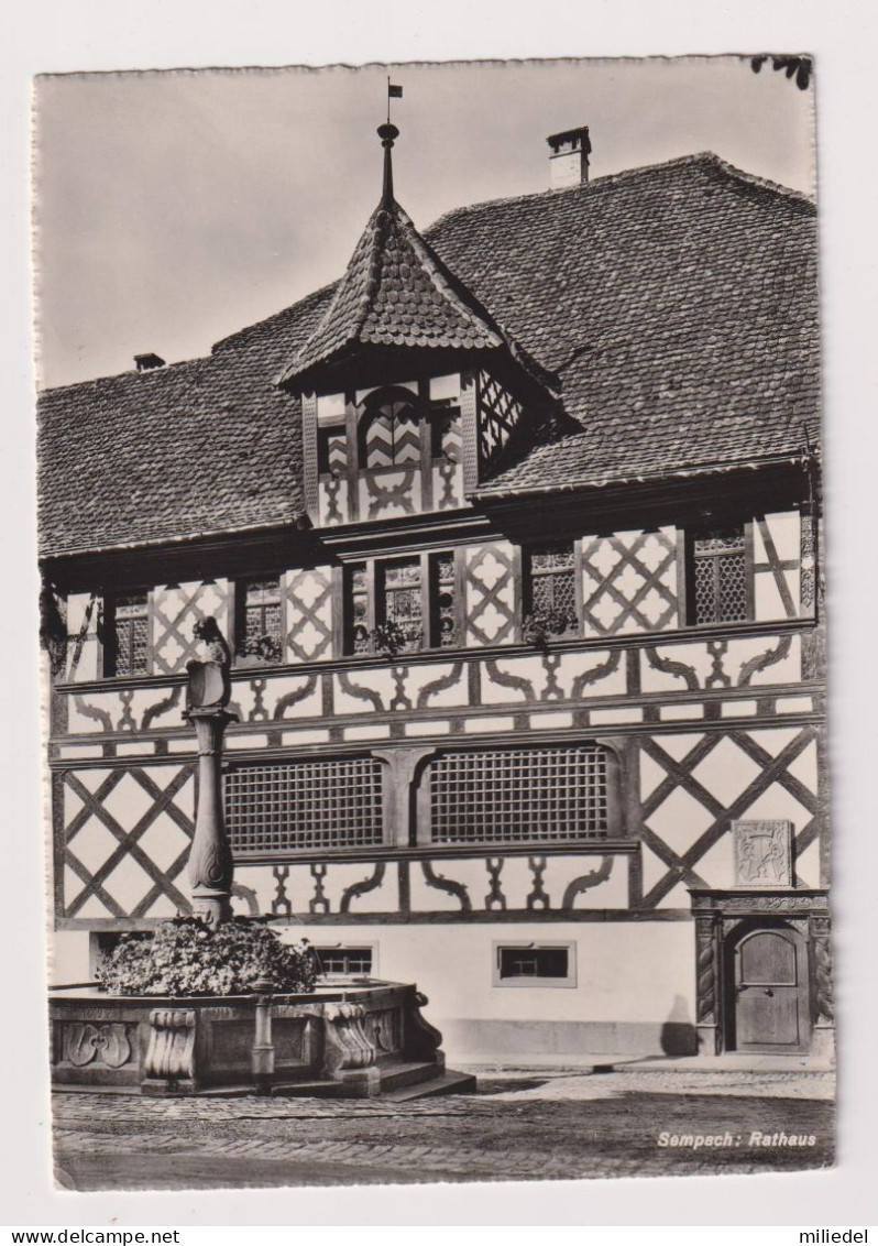 M546 - SUISSE - Sempach : Rathaus - Sempach