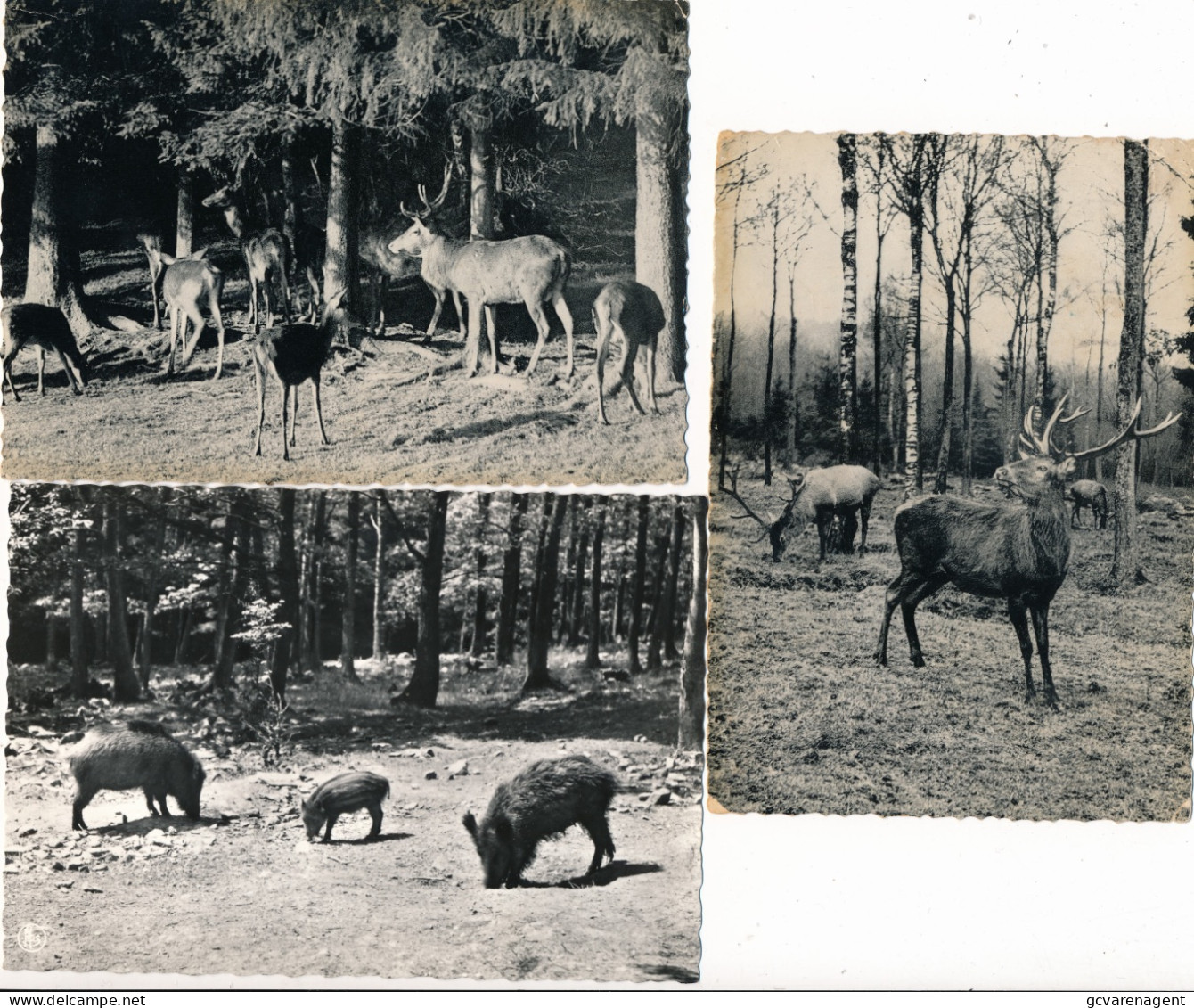 3 CARTESARDENNES BELGES        2 SCANS - La-Roche-en-Ardenne