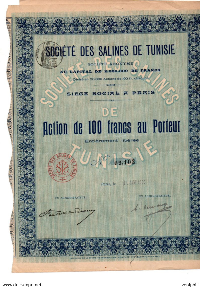 SOCIETE DES SALINES  DE TUNISIE  - ACTION DE 100 FRANCS - ANNEE 1906 - Africa