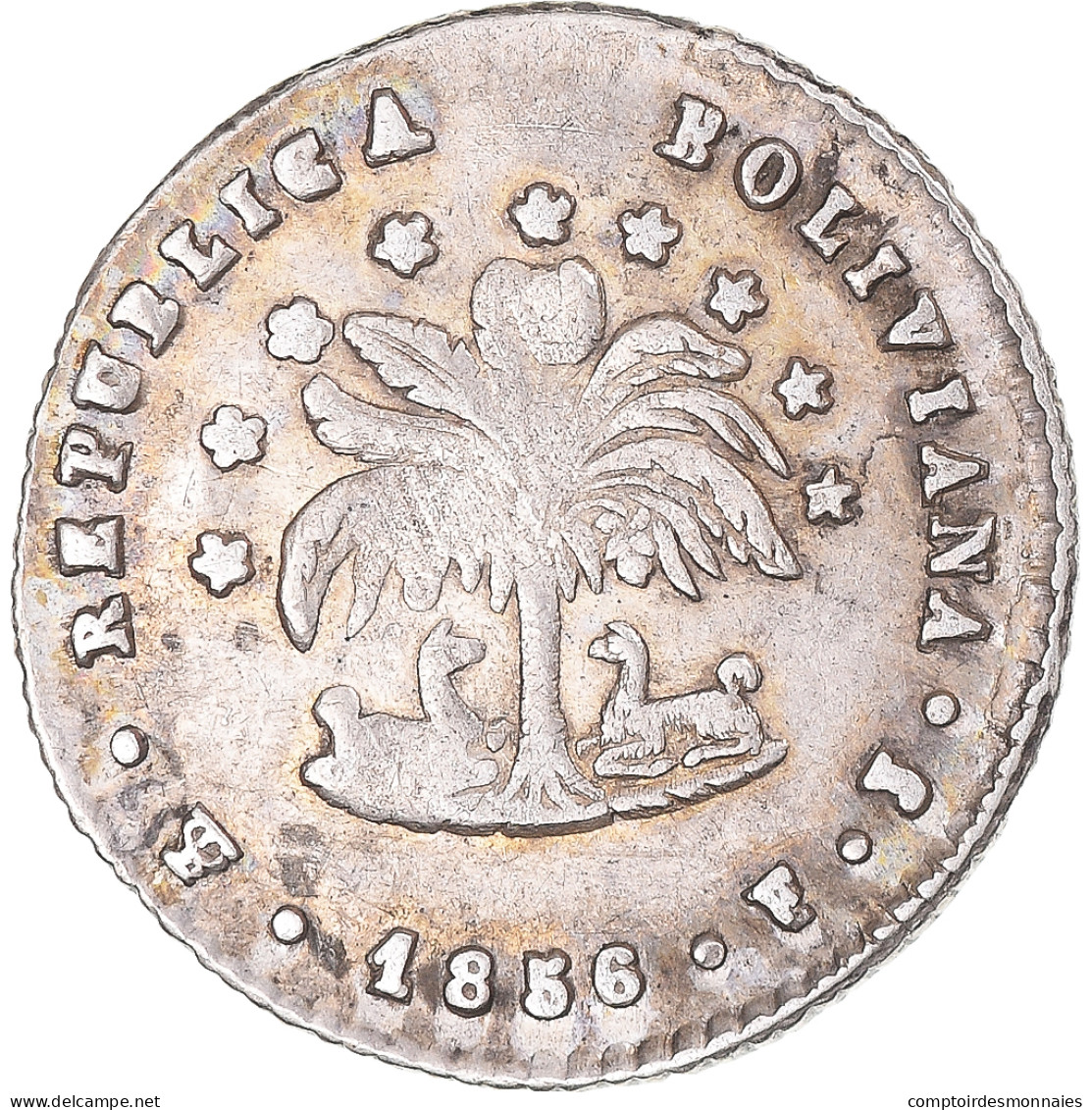 Monnaie, Bolivie, 1/2 Sol, 1856, Potosi, TB, Argent, KM:118.2 - Bolivia