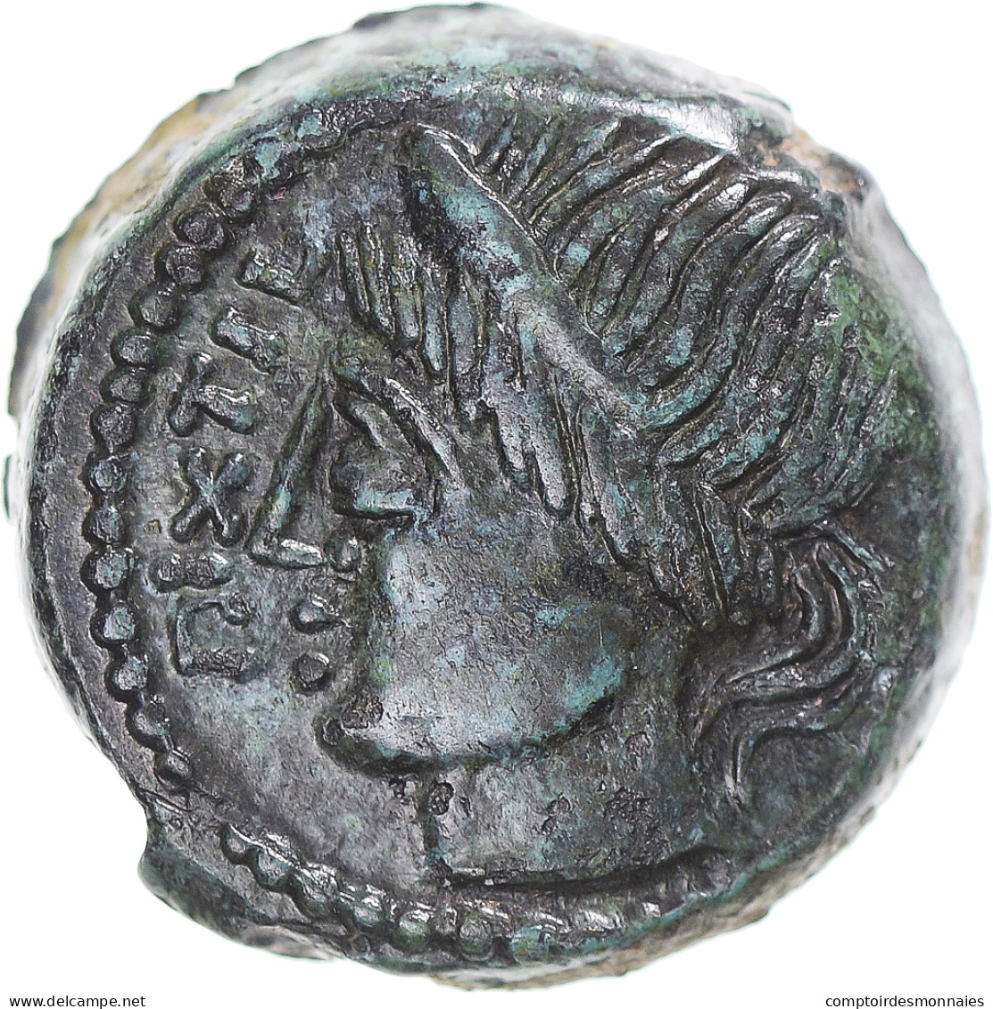 Monnaie, Carnutes, Bronze PIXTILOS à La Louve Et Au Lézard, Ca. 60-40 BC, SUP - Celtic