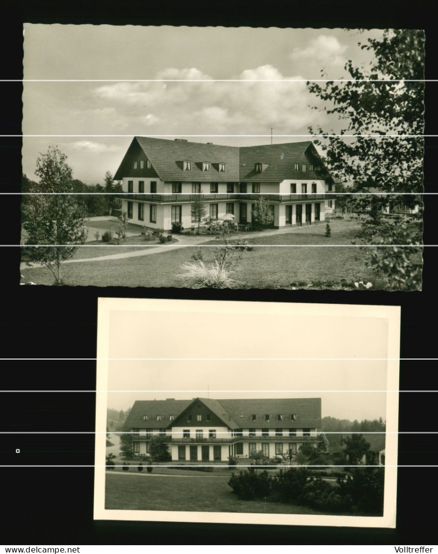 Orig. AK + Foto 1960 Hörste Stadt Lage Kreis Lippe Hotel Bergheim Der IG Druck Und Papier - Lage