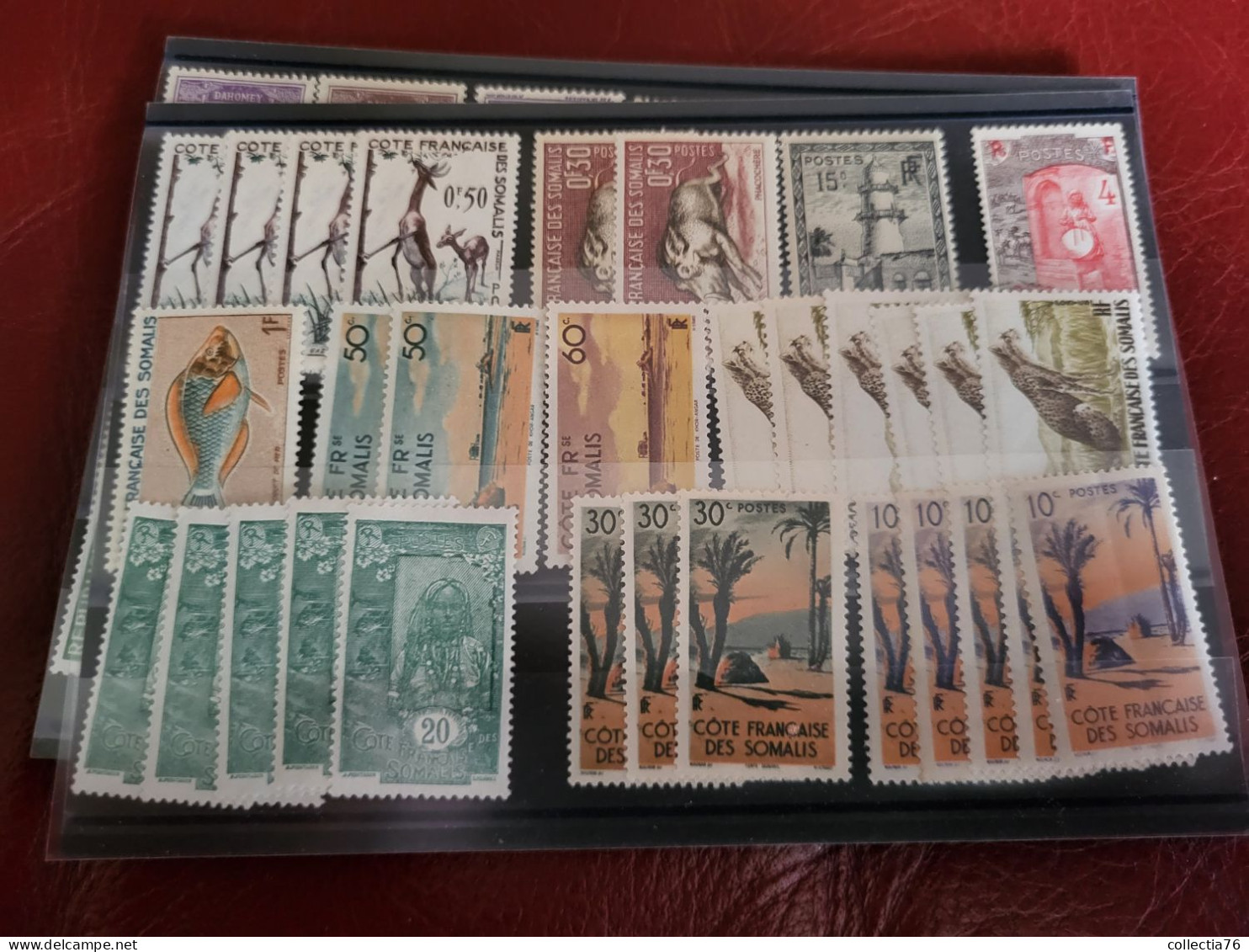 LOT 5000 TIMBRES COLONIES AFRIQUE ASIE OCEANIE PACIFIQUE MEMEL ST PIERRE MIQUELON NEUFS ET OBLITERES VOIR ANNONCE