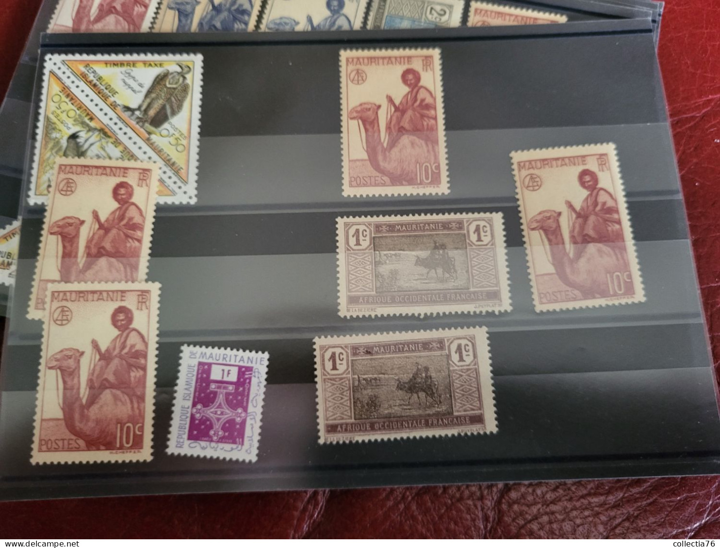 LOT 5000 TIMBRES COLONIES AFRIQUE ASIE OCEANIE PACIFIQUE MEMEL ST PIERRE MIQUELON NEUFS ET OBLITERES VOIR ANNONCE