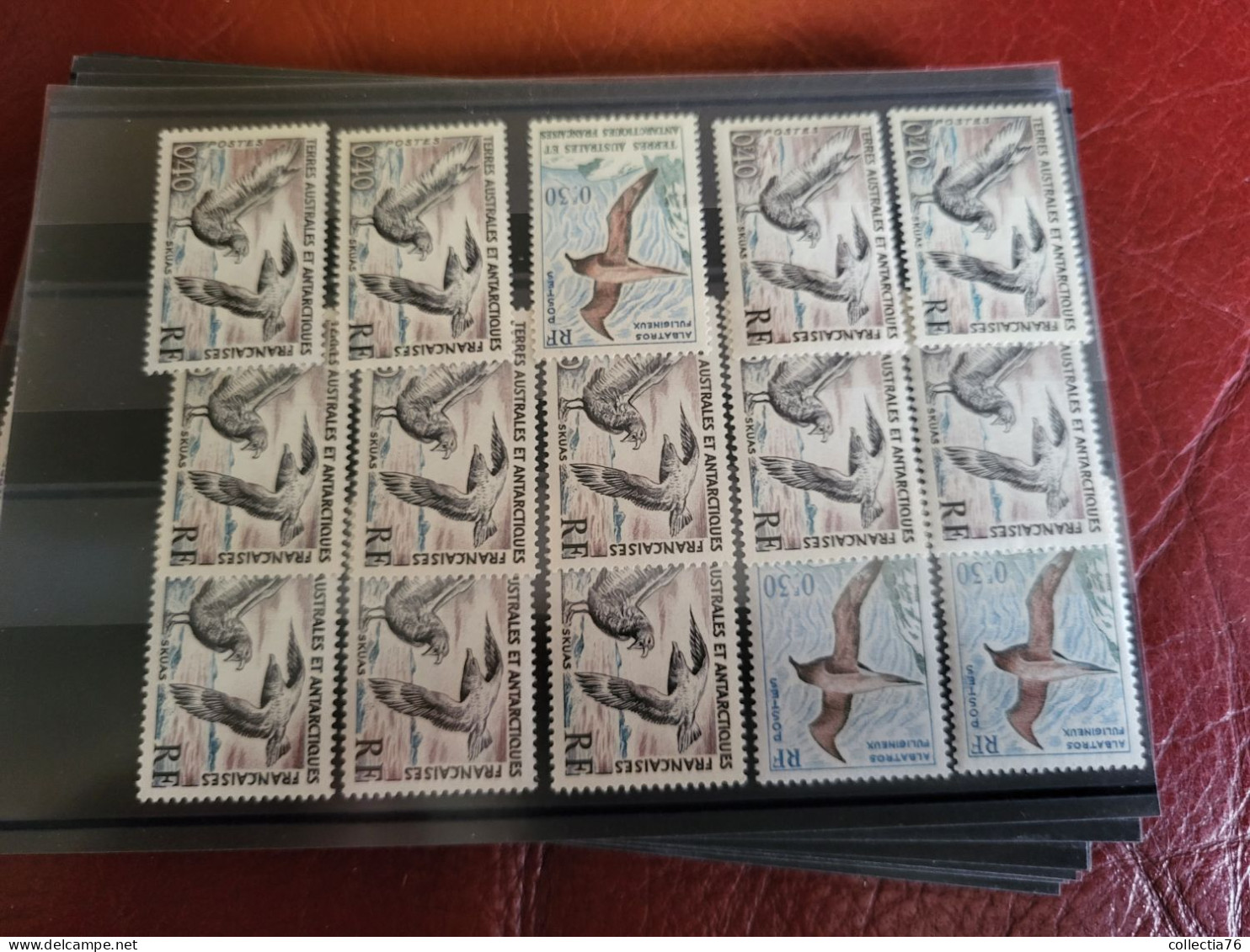 LOT 5000 TIMBRES COLONIES AFRIQUE ASIE OCEANIE PACIFIQUE MEMEL ST PIERRE MIQUELON NEUFS ET OBLITERES VOIR ANNONCE