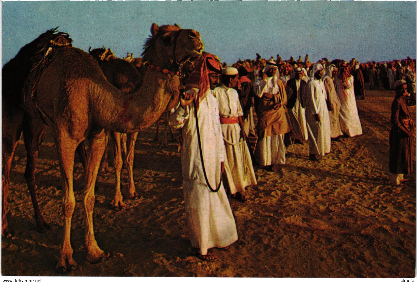 PC SAUDI ARABIA, ALKHOBAR, CAMEL RACE, Modern Postcard (b48099) - Arabie Saoudite